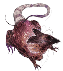 Summoned Creature: Dire Rat