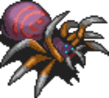 Summoned Creature: Wolf Spider