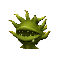 Morbol Seedling